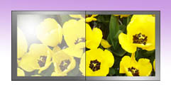 sunlight readable display