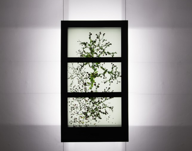 Even Stained Glass Windows can Benefit from Transparent Technology