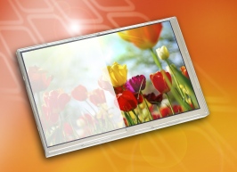 Hibrite Rugged Solutions from Crystal Displays