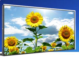 High Resolution 29 Inch LG Panel with 600nits Brightness