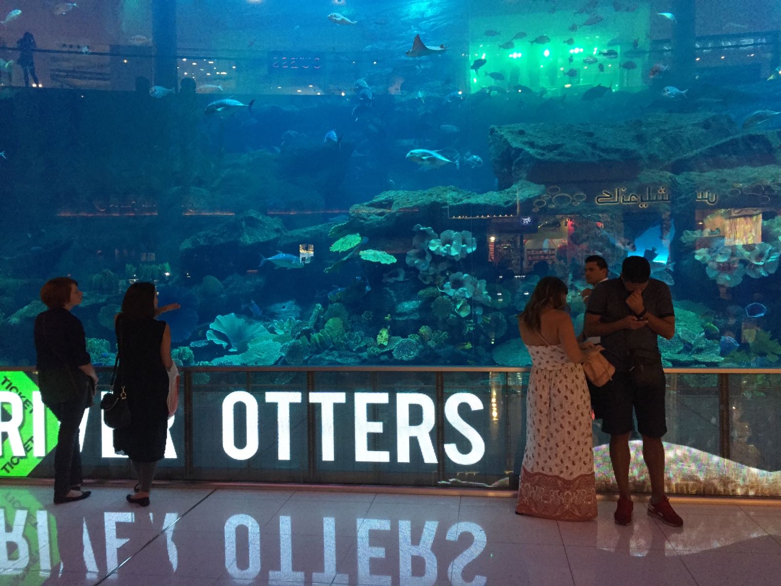 Transparent LED Displays Extend Advertising Space