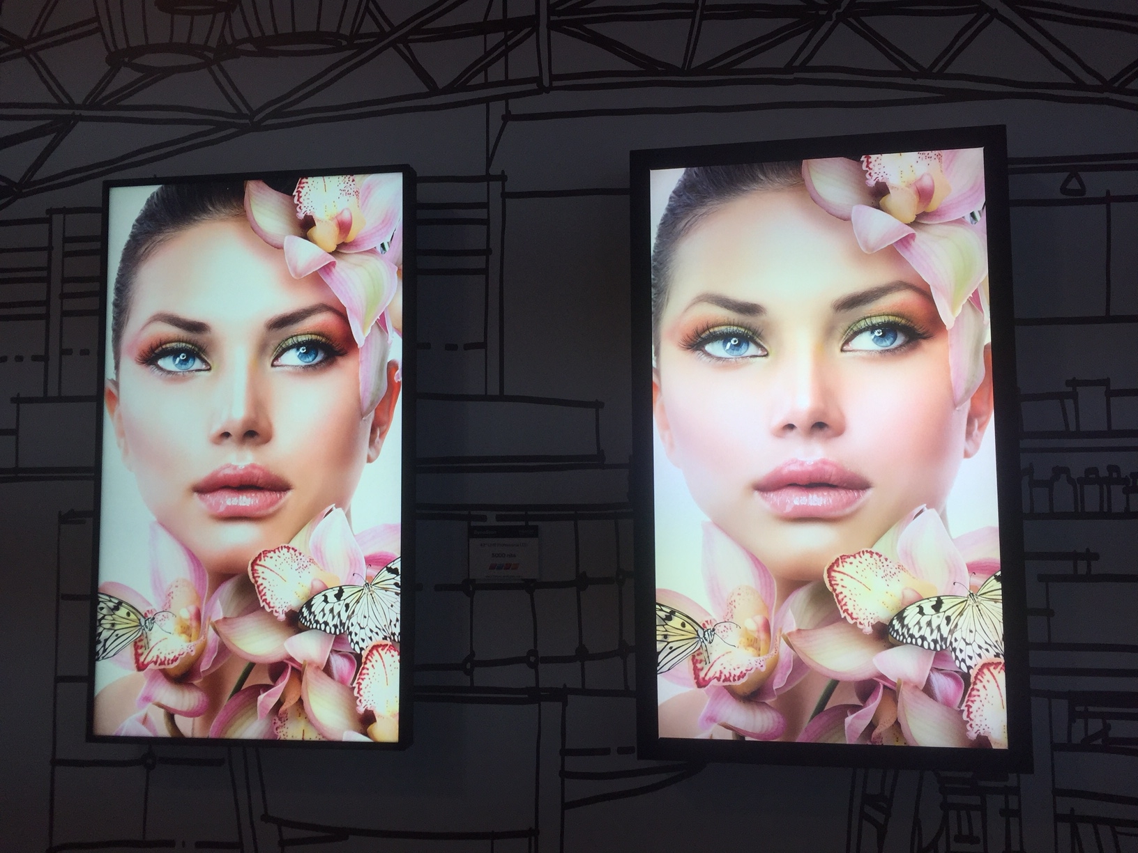 Enhance your Print Displays with Dynascan