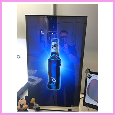 CDS Magic Mirror Displays