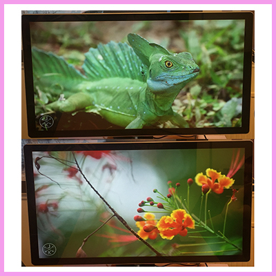 Cost Effective 4K Monitors at ICE