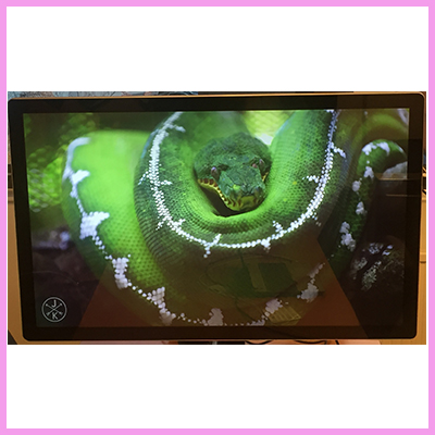 We have the High Resolution for you with 4K Displays