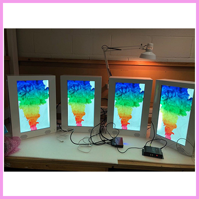 cds custom transparent lcd portrait project