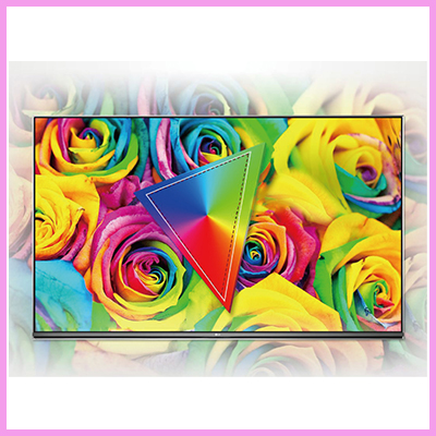 BOE TFT LCDs from CDS Focusing on Sizes from 27 up to 55 inches