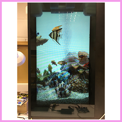 Transparent 3DP Solution now available all the way up to 86 inches
