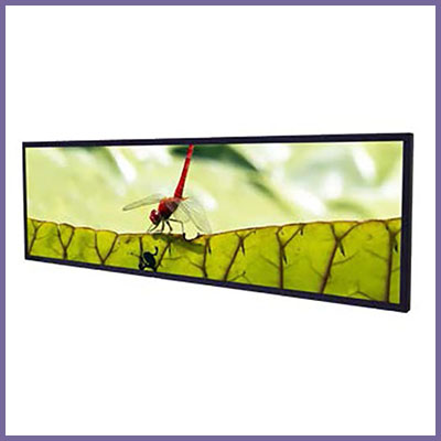 Why Opt for the CDS Stretched Vue Range?