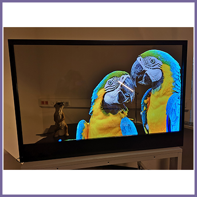Astounding Plug and Play Transparent OLED Solution