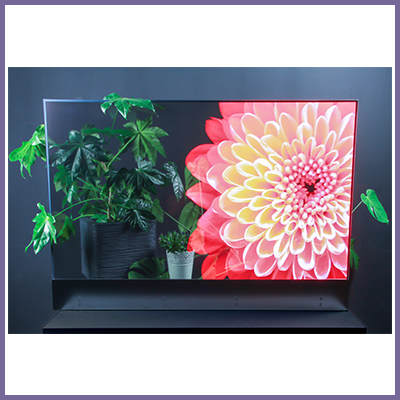 Our Transparent OLED is the Coolest Around