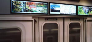 CDSstretchedlcd1